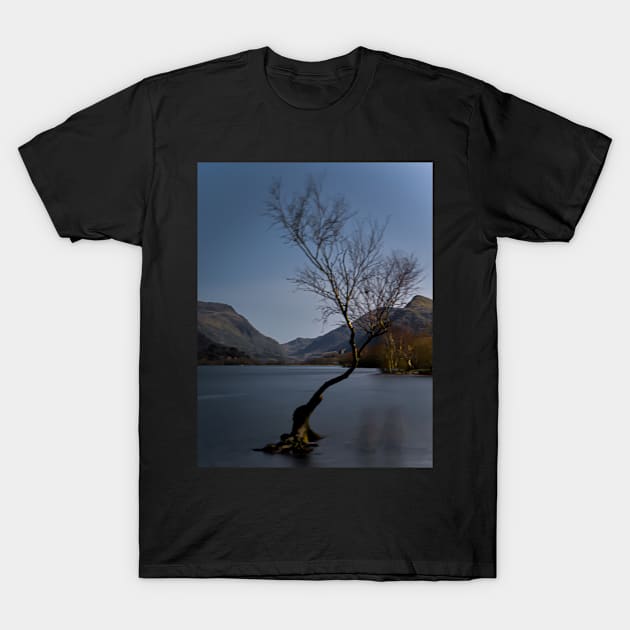 THE LONE LESS TREE T-Shirt by dumbodancer